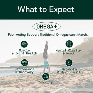 Adapt Naturals Omega 3 Fish Oil Supplement with Bioavailable Curcumin & Black Seed, 1500mg Fish Oil EPA DHA Omega 3 Fatty Acids to Support Joints, Muscles & Heart | Unflavored - 30 Days Supply ADAPT NATURALS BY CHRIS KRESSER buy supplements Au