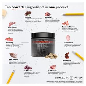 Formulation Factory Primal Power 10-in-1 Beef Organ Supplement - Grass Fed Beef Liver Capsules with Heart, Bone Marrow, Kidney, Testicle - Freeze Dried Organ - 120 Capsules, 2 Month Supply Formulation Factory buy supplements Au