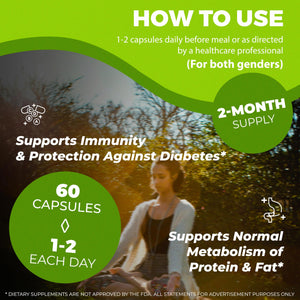 Stemox Gut Energy – Natural Energy & Metabolism Support Supplement with Biotin, Chromium, Alpha Lipoic Acid & Organic Herbal Extracts – Blood Sugar & Gut Health Support – 60 Vegan Capsules Stemox buy supplements Au