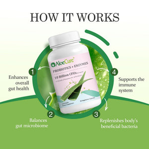 AloeCure Daily Probiotics 10 Billion CFU for Digestive Support 8 Strains, 6 Prebiotics & Enzymes - Digestive Supplement with Bromelain for Women & Men - PrimeBioHealth - canada supplements