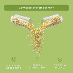 C15:0 Pentadecanoic Acid Supplement | Longevity, Cellular & Membrane Support, Micro-Granule Enhanced Absorption, Phosphatidylcholine, L-Carnitine, - PrimeBioHealth - canada supplements
