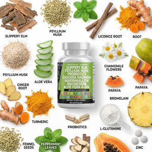 Clean Nutraceuticals Slippery Elm Psyllium Husk Pre Probiotic Digestive Gut Health Supplement with Aloe Vera Cascara Sagrada - PrimeBioHealth - canada supplements