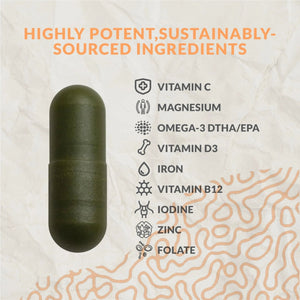 Complete Vegan Multivitamin with Iron, Omega 3, Vitamin D3, Folate, Zinc, Vitamin B12, & More - 100% Sustainable Vegan Vitamins - PrimeBioHealth - canada supplements