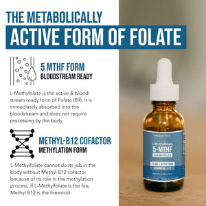 L Methyl Folate 15mg Plus Methyl B12 Cofactor – Organic Berry Flavor, High Potency Liquid Sublingual Active 5-MTHF Form - Supports Mood, Methylation - PrimeBioHealth - canada supplements