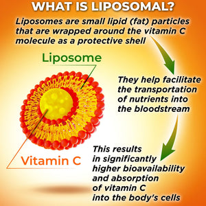 Liposomal Vitamin C Capsules - 1500mg - Made with Organic Acerola Cherries & Camu Camu, High Potency Vitamin C Liposomal - Immune Support Supplement - PrimeBioHealth - canada supplements