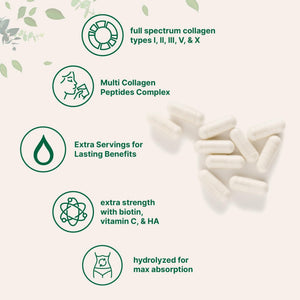 Micro Ingredients Multi Collagen Pills for Women & Men, 240 Capsules | Type I, II, III, V, X | Hydrolyzed Peptides with Biotin, Hyaluronic Acid - PrimeBioHealth - canada supplements