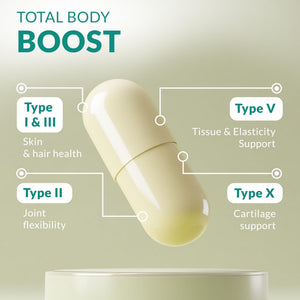 Multi Collagen 180 Protein Capsules - Type I, II, III, V, X Collagen Pills - Proprietary Blend of Eggshell, Chicken, Wild Fish & Grass-Fed - PrimeBioHealth - canada supplements
