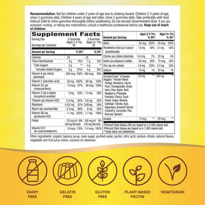 Nature's Way Alive! Children's Premium Gummy Multivitamin, Gluten Free, Made with Pectin, 90 Gummies - PrimeBioHealth - canada supplements