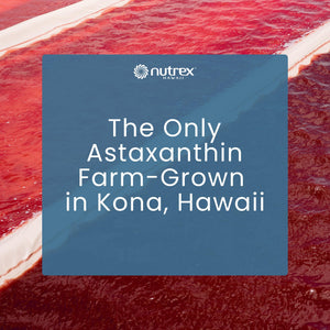 Nutrex Hawaii BioAstin Hawaiian Astaxanthin - 12mg, 90 Softgels - Farm-Direct Premium Antioxidant Supplement to Support Eye, Skin - PrimeBioHealth - canada supplements
