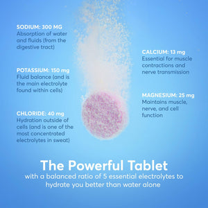 Nuun Sport Electrolyte Tablets with Magnesium, Calcium, Potassium, Chloride & Sodium, Gluten Free & Vegan, Mixed Flavor, 4 Pack (40 Servings Total) - PrimeBioHealth - canada supplements