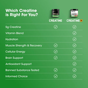 Optimum Nutrition Creatine Monohydrate Plus Powder, Strawberry Peach Flavored Creatine Performance Blend, with Electrolytes for Hydration, Added Vitamins - PrimeBioHealth - canada supplements