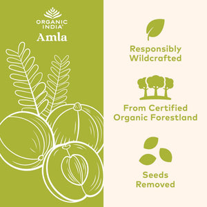 ORGANIC INDIA Amalaki Herbal Vitamin Supplement - Immune Support, Vitamin C, Vegan, Gluten-Free, Kosher, Ayurvedic, Antioxidant - PrimeBioHealth - canada supplements