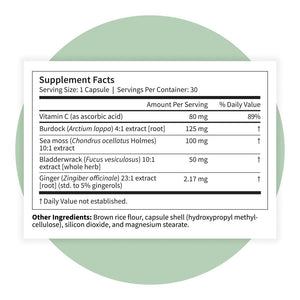 Pattern Wellness Sea Moss Complex – Sea Moss, Burdock Root, Bladderwrack, Vitamin C & Ginger – Supports Immune & Digestive Health – Vegan, Non-GMO – 30 Capsules - PrimeBioHealth - canada supplements