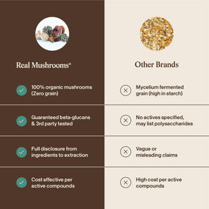 Real Mushrooms 5 Defenders - Adaptogenic Mushrooms Complex with Chaga, Reishi, Turkey Tail, Maitake & Shiitake for Wellness Support - PrimeBioHealth - canada supplements