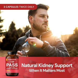 STONE RELIEF Daytime Herbal Kidney Support for Urinary Flow & Comfort | Chanca Piedra Formula – 180 Capsules - PrimeBioHealth - canada supplements