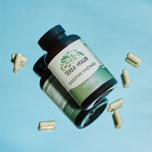 TERRA ORIGIN Digestive Enzymes with Probiotics & Prebiotics | 60 Capsules | Supports Digestive Gut Health | Non GMO, Gluten Free, - PrimeBioHealth - canada supplements