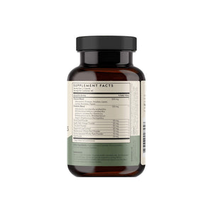 TERRA ORIGIN Digestive Enzymes with Probiotics & Prebiotics | 60 Capsules | Supports Digestive Gut Health | Non GMO, Gluten Free, - PrimeBioHealth - canada supplements