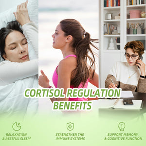 Vita PLynxera Cortisol Supplement Liquid Drops, 17-in-1 Cortisol Detox w. Magnesium Glycinate 400mg Ashwagandha, L-Theanine, Phosphatidylserine, Hormone Balanced - PrimeBioHealth - canada supplements