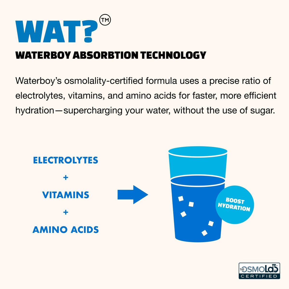 Waterboy Hydration Recovery Variety | 4-9x Electrolyte Powder Packets | Ginger + L-Theanine + L-Glutamine + Vitamins | No Sugar, All Natural, Gluten Free - PrimeBioHealth - canada supplements