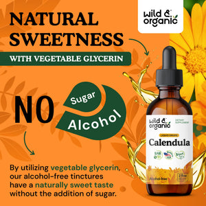 Wild & Organic Calendula Flowers Supplement - Antioxidant, Immune & Skin Support - Add to Tea Extract Drops - Calendula Herb Tincture - Vegan, Alcohol & Sugar-Free - 4 fl oz - PrimeBioHealth - canada supplements