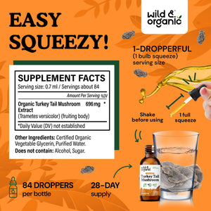Wild & Organic Turkey Tail Mushroom Tincture - Immune Support Drops with Turkey Tail Extract - Liquid Mushroom Supplement for Gut Support - Vegan, Sugar & Alcohol-Free - 4 fl oz - PrimeBioHealth - canada supplements