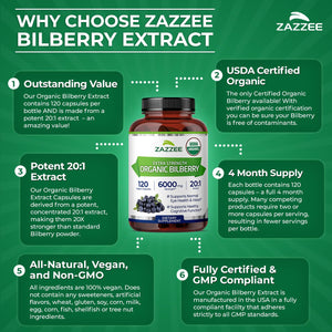 Zazzee USDA Organic Bilberry 20:1 Extract, 120 Vegan Capsules, 4 Month Supply, Vaccinium Myrtillus, Eye Health, Vision & Antioxidant Support, All-Natural, Non-GMO, Made in the USA - PrimeBioHealth - canada supplements