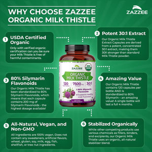 Zazzee USDA Organic Milk Thistle 30:1 Extract, 80% Silymarin, 120 Vegan Capsules, 4 Month Supply, Certified Kosher, High Potency Liver & Antioxidant Support, Silybum Marianum, Non-GMO, Made in the USA - PrimeBioHealth - canada supplements