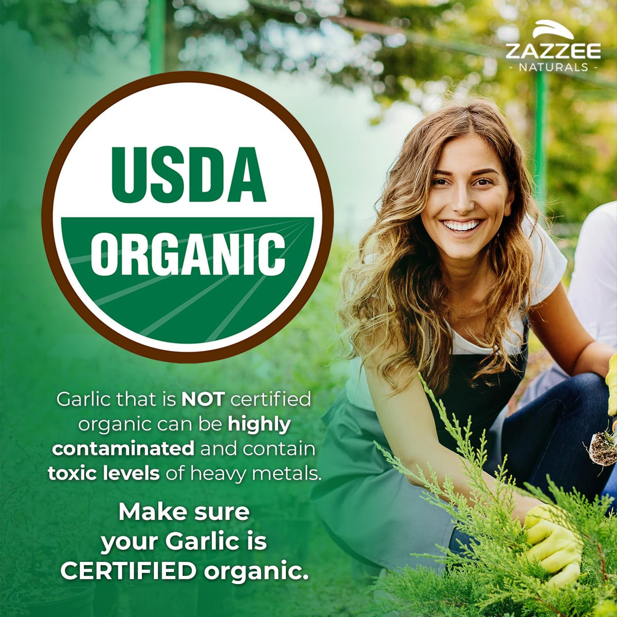 Zazzee USDA Organic Odorless Garlic 20:1 Extract, 1% Allicin, 100 Vegan Capsules, 3+ Month Supply, Allium Sativum, Immune, Circulation & Heart Health Support, All-Natural, Non-GMO, Made in the USA - PrimeBioHealth - canada supplements